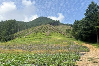 �Ӿ�(���� ��)